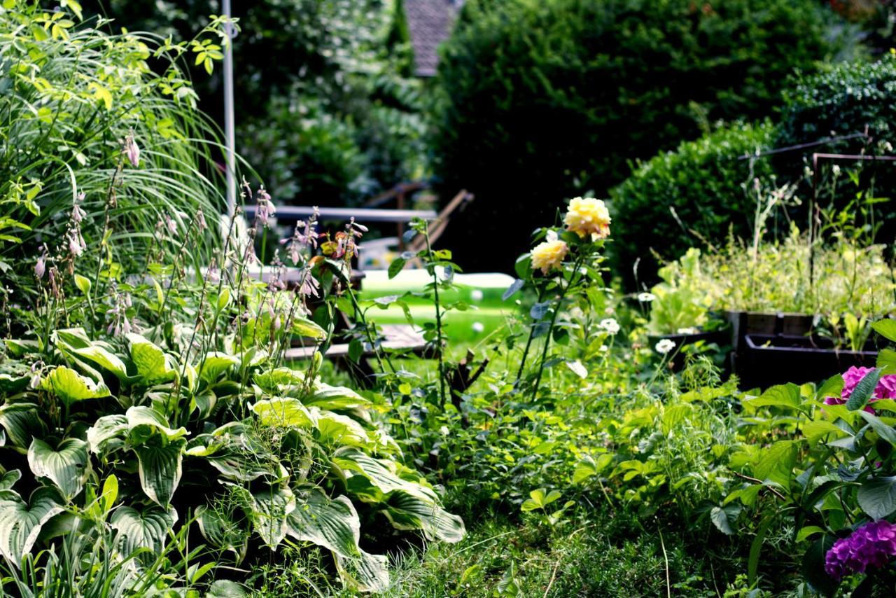 Souterrainwohnung Mit Grossem Garten Und Sauna Kassel Eksteriør billede